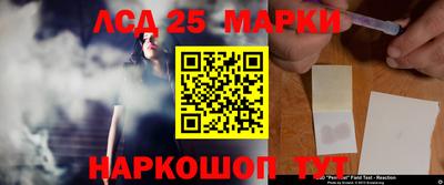 стаф Новокубанск