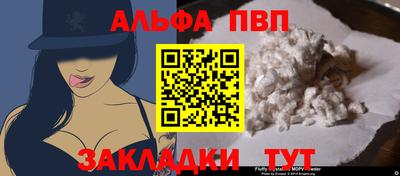 стаф Новокубанск