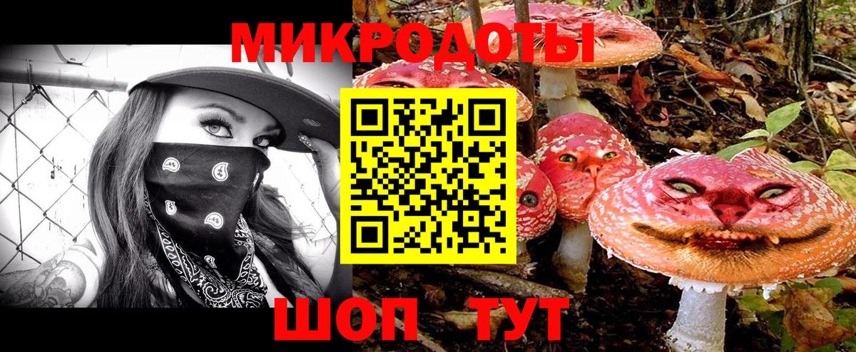 Галлюциногенные грибы Magic Shrooms  Псилоцибиновые грибы Magic Shrooms  Фрязино 