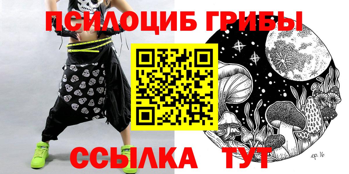 Фрязино  Псилоцибиновые грибы Psilocybe  Псилоцибиновые грибы мухоморы  Вход с VPN 