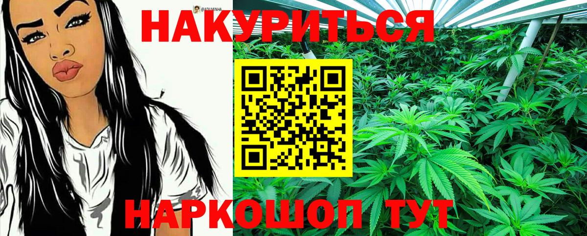 Каннабис планчик Фрязино